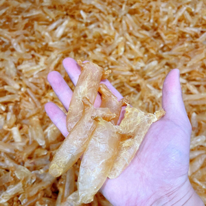 Tripa de Pescado Pangasius Seca, Envasada a Granel, Confiable, Procesada y Limpia, Marisco con Calidad Estable para Compradores de Todo el Mundo - Product Image 1