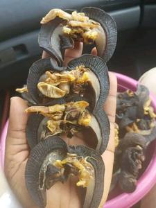 Escargots géants africains congelés 100% comestibles avec stockage IQF et durée de conservation de 12 mois - Product Image 2