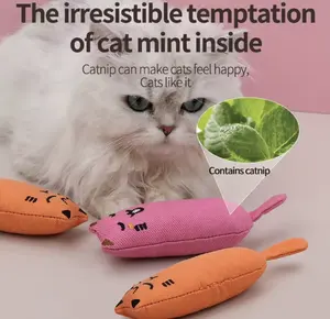 Trending Interactieve Kat Kauw Speelgoed Met Geritsel Geluid Custom Logo Mint Catnip Smaak Zacht Materiaal Beste Waarde