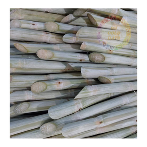 Tallos de caña de azúcar congelados al por mayor-Granja-Frescos, convenientemente empaquetados para restaurantes, cafeterías y distribuidores - Product Image 5