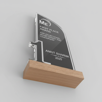 Trophée en acrylique poli gravé, imprimé en typographie, le plus vendu, durable, pour événements scolaires, universitaires, d'entreprise, et trophée étudiant