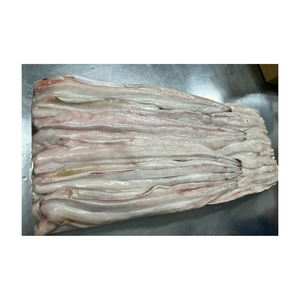 Frozen Conger suministro a granel al por mayor mariscos Premium precio asequible - Product Image 5