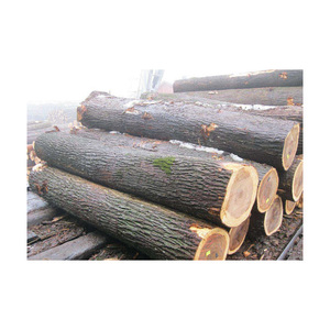 Troncos de Álamo de Primera Calidad con Certificación FSC para Verificación de Origen Sostenible y Proyectos de Construcción Ecológica al por Mayor - Product Image 1