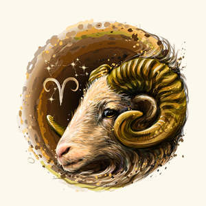 Huile Corporelle Aries : Mélange d'Encens, Ylang-Ylang, Pamplemousse, Géranium, Bois de Santal pour Hydratation et Éclat – Inspiré du Signe du Zodiaque - Product Image 1