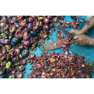 Mangosteen Rind Peel Dry Export Gran cantidad - Product Image 3