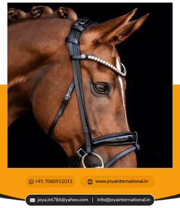 Bride de cheval en cuir sur bride en cuir indien de haute qualité Meilleure bride anatomique multifonctionnelle - Product Image 3