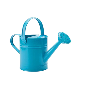 Arrosoir en fer galvanisé de luxe, finition bleu clair, pour accessoires et outils de jardin - Product Image 2