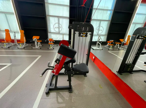 La Chine Dezhou Ningjin usine d'approvisionnement équipement de gymnastique Biceps <span class=keywords><strong>Curl</strong></span> Machine - Product Image 3