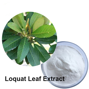 Bubuk ekstrak daun Loquat organik alami, 25% 50% 90% 95% 98% bubuk asam ursolik - Product Image 3