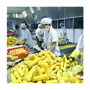 Venta caliente de maíz dulce congelado de alta calidad listo para usar para fábricas de alimentos enlatados restaurantes de servicio rápido y fabricantes de alimentos - Product Image 6