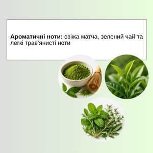 Suero Corporal con Ácido Hialurónico Elementix Lab Matcha 350ml - Líquido Hidratante para Adultos - Product Image 4