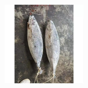Bulk supply <b>frozen</b> skipjack wholesale cheap price ocean <b>frozen</b> fish for export - Product Image 5