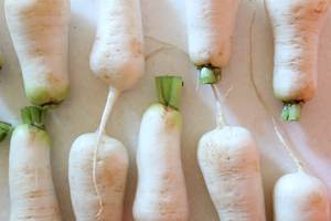 RADIS BLANC CONGELÉ PUR/SUPPORT IMMUNITAIRE/ÉTIQUETTE PROPRE/VÉGÉTALE - Product Image 5