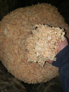 Virutas de madera de alta calidad para ropa de cama de caballos, virutas de pino puro precio competitivo de Vietnam - Product Image 2