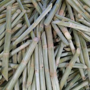 Vente chaude canne à sucre congelée canne à sucre douce Vietnam IQF congélation canne à sucre sans peau bâton de stockage - Product Image 6