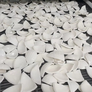 Vietnam Frozen Coconut <b>Meat</b> from White Mature Coconut Rich in Oil and Fiber Cut into Slices or Chunks Packed - Product Image 1