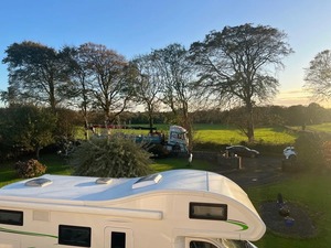 Autocaravana de Lujo Forster A699 DVB de 6 Plazas, Volante a la Izquierda, 2024, Totalmente Equipada, Disponible en Todo el Mundo - Product Image 5