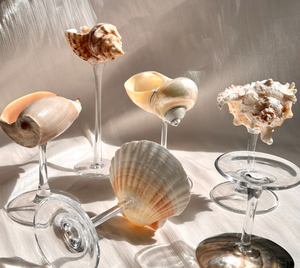 Ensemble de 2 verres à martini élégants en forme de coquillage, gobelets en coquillage organique pour les fêtes estivales à la plage - Macy - Product Image 4