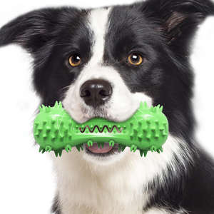 Eco-Friendly TPR Modern <b>Dog</b> Dental Health Chewing Toys-<b>Toothbrush</b> Vocal Dumbbells Molar Rods Explosive Models - Product Image 3