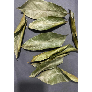 Hojas de Guanábana secas naturales, Guanábana, té para mujer, mezcla de hierbas naturales, Hojas de Guanábana orgánica 100% - Product Image 5