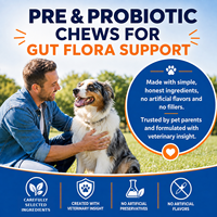 Friandises à mâcher probiotiques pour chiens, marque privée, pour la santé intestinale, soutien digestif, supplément prébiotique et probiotique pour animaux de compagnie, friandises molles