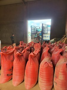 การส่งออกผง Joss คุณภาพสูงจากเวียดนาม | ราคาดี | ขายดี2023 - Product Image 2