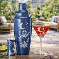 Ensemble de shakers à cocktails 4 pièces, kit de barman mystique avec verre à martini, coffret cadeau astrologique pour bar