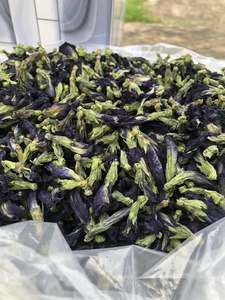 Blue <b>Butterfly</b> Blooming Flower <b>Tea</b> Dried <b>Butterfly</b> Pea <b>Tea</b> in Health-Focused Bag Packaging - Product Image 4