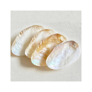 Haute qualité nacre Vietnam nacre coquille tranches pour bijoux mur Art décoratif incrustation artisanat fabrication - Product Image 4