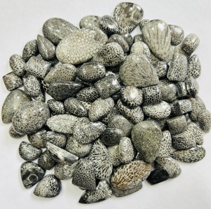 Aaa Grade Natuurlijke Zwarte Fossiele Koraal Edelsteen Cabochon Gemengde Diverse Partij Voor Multi Sieraden Maken Steen Bruine Aragoniet - Product Image 4