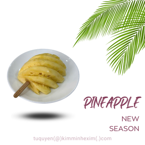 IQF Frozen <b>Pineapple</b> Chunks from Vietnam Sweet MD2 Variety Bulk & Retail Packing Available - Product Image 6
