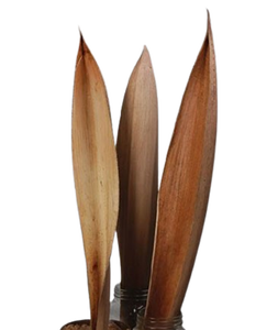 Plateau de nourriture en forme de bateau botanique naturel Coco support de plante décor à la maison Unique avec support de lumière de thé fleurs séchées bol mariages - Product Image 4