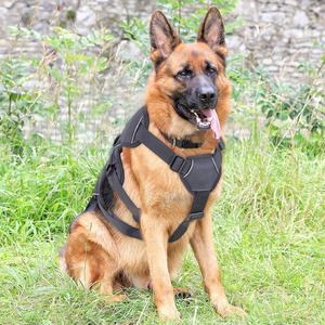 Réfléchissant réglable sans traction gilet pour animaux de compagnie doux rembourré corps complet <span class=keywords><strong>harnais</strong></span> pour animaux de compagnie <span class=keywords><strong>anti</strong></span> évasion chien <span class=keywords><strong>harnais</strong></span> pour grands chiens - Product Image 3
