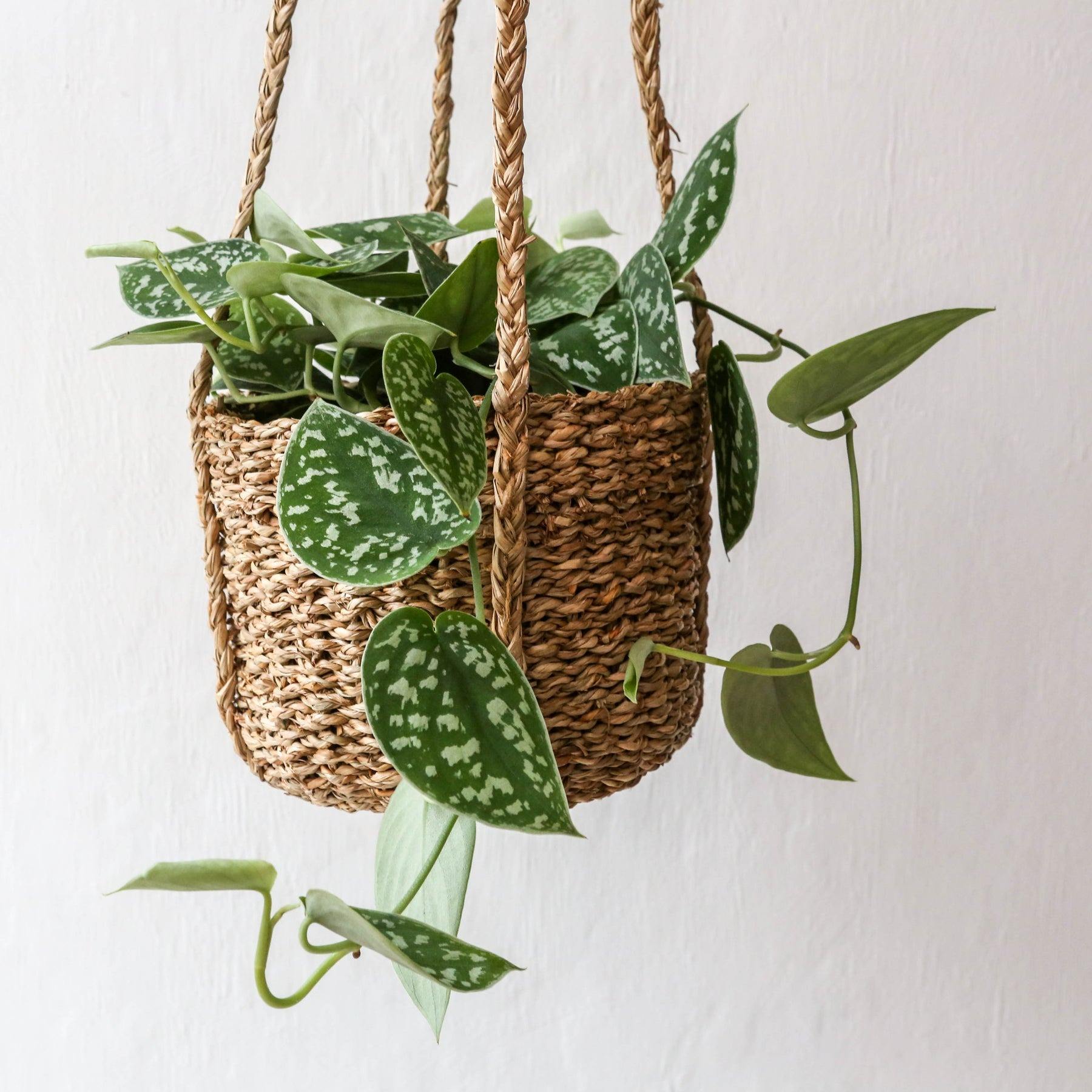 กำหนดเอง