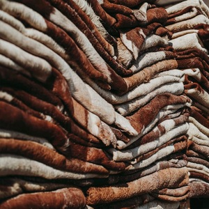 Pieles y cueros de vaca, caballo, cabra y oveja salados y secos en venta - Product Image 3