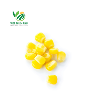 OFERTA CALIENTE MAÍZ CONGELADO DE ALTA CALIDAD, 100% NATURAL DE VIETNAM - Product Image 5
