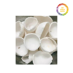 Morceaux de noix de coco congelés biologiques Style IQF Doux tendre ou croustillant pour le dessert et les boissons - Product Image 1