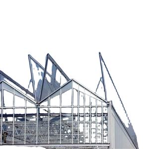 แผงกระจกเรือนกระจกสำหรับการเกษตรเชิงพาณิชย์แบบหลายช่วงสำหรับขาย - Product Image 6