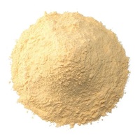 Poudre de protéines de caroube, protéines végétales à base de germe de caroube, poudre de protéines végétales sans allergènes