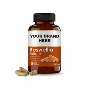 Healthcare Supplement High Quality Boswellia Serrata Capsules Vegetarian Boswellia Extract Capsules Joint Care Supplements
