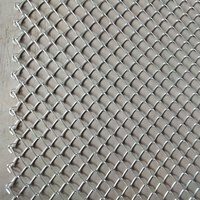 Fil de cyclone de 1.8m/2.0m/2.4m de hauteur/maille de 65mm maille de clôture galvanisée liée à la chaîne