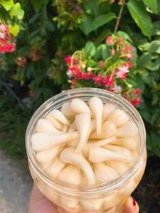 POIREAUX MARINÉS EN CONSERVE PRODUIT CHAUD TRADITIONNEL DU VIETNAM - Product Image 6