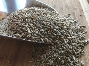 Grains de seigle séchés naturels VF - 4% de brisures, qualité alimentaire, origine Afrique du Sud, durée de conservation de 18 mois, pour l'alimentation animale et humaine, à vendre - Product Image 3