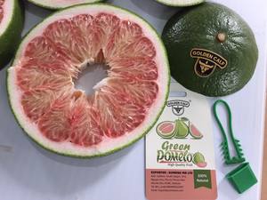 El mejor precio para Pomelo de Granada de piel verde fresco orgánico de primera calidad de Vietnam Estándar de exportación a la UE el 0084989322607 de - Product Image 6