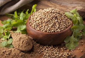 Fournisseur en vrac de première qualité d'assaisonnement à base d'épices dhania en poudre de coriandre séchée pour la transformation des aliments pour l'exportation de marques de détail - Product Image 3