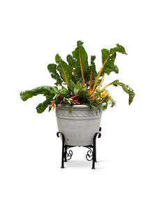 Meilleure vente de support de jardinière noir en métal pour jardin, maison, restaurant, hôtel à bas prix - Product Image 4
