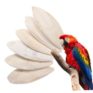 Os de seiche Top Vente Calcium Naturel Pour Oiseaux Perroquets Tortues Lapins Bec Garniture Shell Force Et Artisanat Matériel - Product Image 4