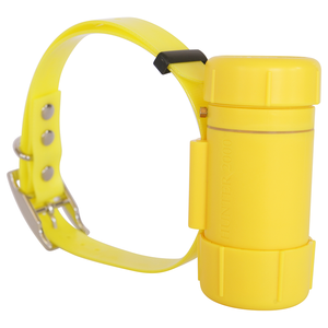 Nouveau modèle 2024 Collier bippeur pour chien imperméable Chasseur de chiens bippeur Hunter 2000 - Product Image 5