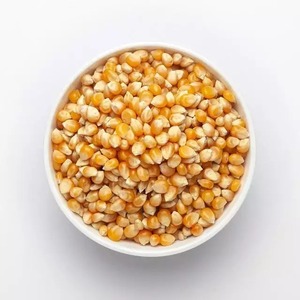 ซังข้าวโพดสีเหลืองข้าวโพดบริสุทธิ์อุดมไปด้วยวิตามิน - Product Image 3