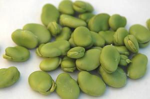 Fèves Biologiques Fraîches Surgelées de Qualité Supérieure, Processus LQF, Emballage Sous Vide en Vrac de 25 kg, Durée de Conservation de 2 Ans à Prix de Gros Avantageux - Product Image 5